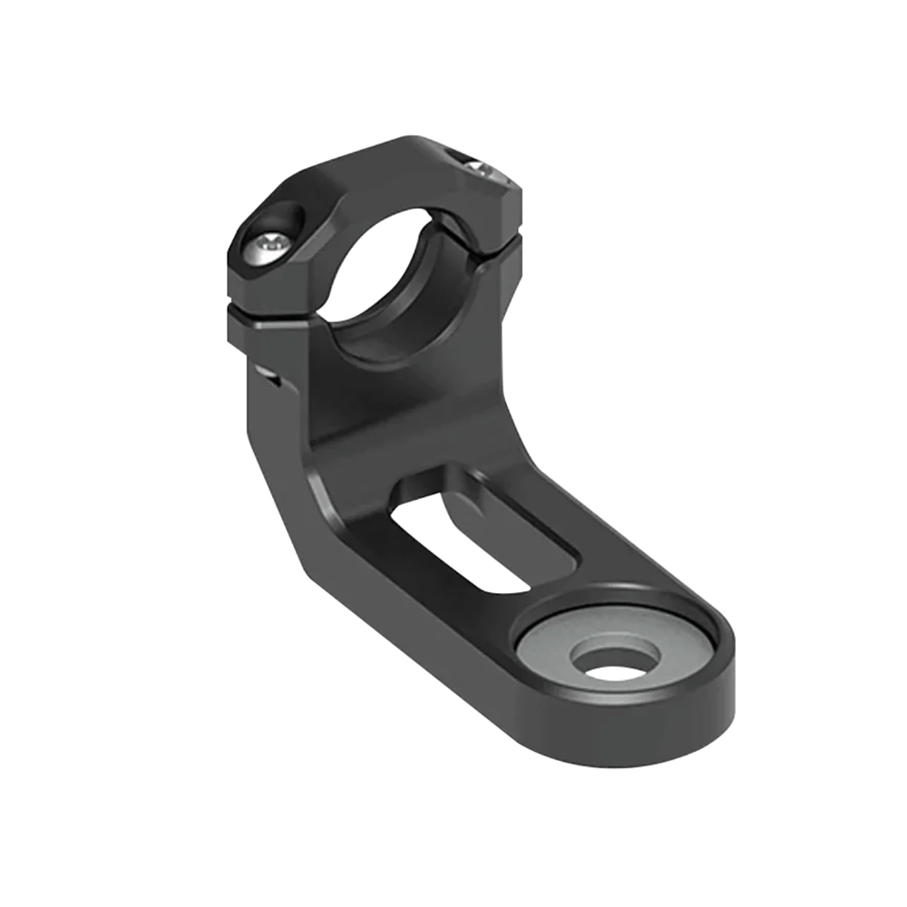 Daisy on the Ohoopee